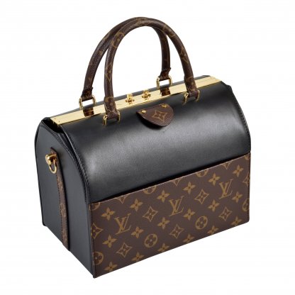 Louis Vuitton Speedy Doctor 25 Handtasche Schwarz Braun Second Hand 11956 2