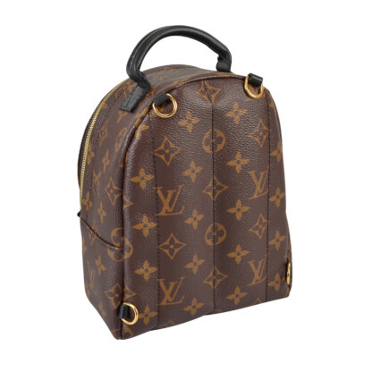 Louis Vuitton Palm Springs Mini Backpack Monogram Canvas 17240 3