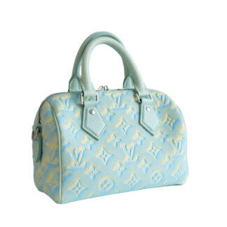 Louis Vuitton Speedy Stardust